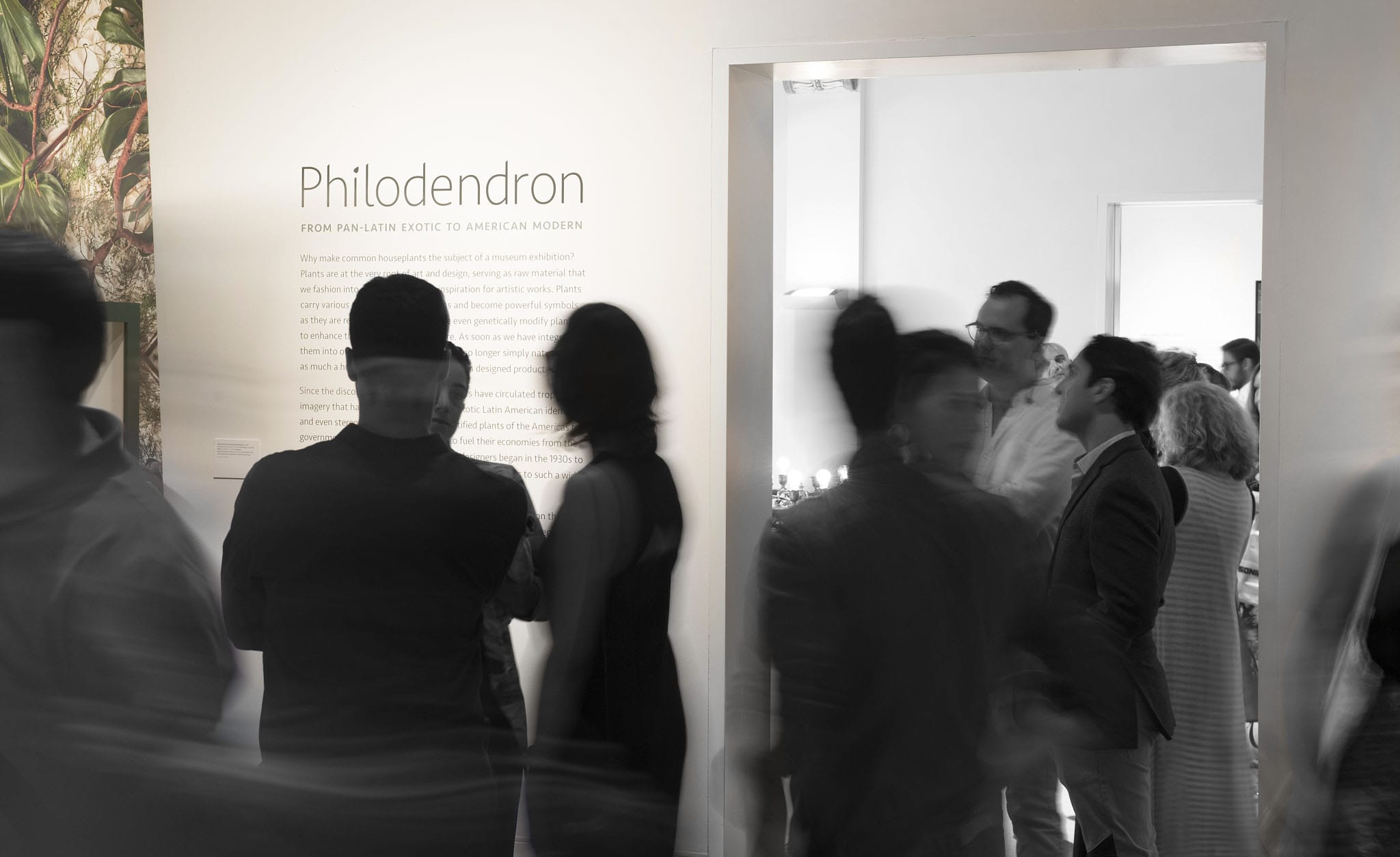 guests crown around the Philodendron exhibit at The Wolfsonian